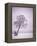Lone Tree in Snow-Jim Zuckerman-Framed Premier Image Canvas