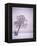 Lone Tree in Snow-Jim Zuckerman-Framed Premier Image Canvas