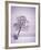 Lone Tree in Snow-Jim Zuckerman-Framed Photographic Print