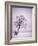 Lone Tree in Snow-Jim Zuckerman-Framed Photographic Print