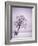 Lone Tree in Snow-Jim Zuckerman-Framed Photographic Print