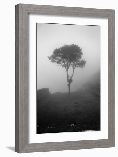 Lone Tree Macchu Picchu Peru-null-Framed Photo