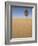 Lone Tree on Dune, Sahara Desert, Merzouga, Morocco, North Africa, Africa-Kim Walker-Framed Photographic Print