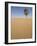 Lone Tree on Dune, Sahara Desert, Merzouga, Morocco, North Africa, Africa-Kim Walker-Framed Photographic Print