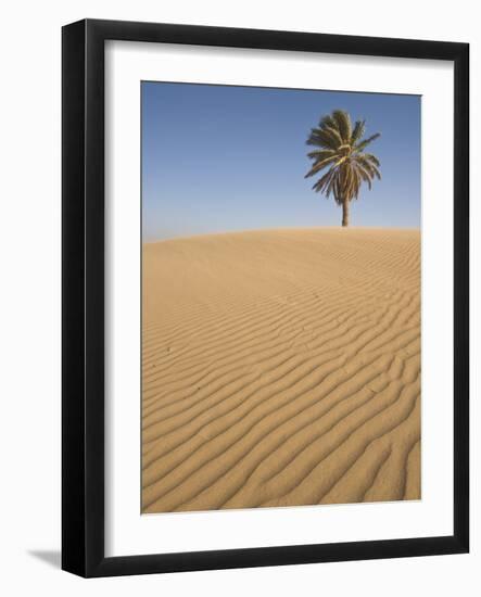 Lone Tree on Dune, Sahara Desert, Merzouga, Morocco, North Africa, Africa-Kim Walker-Framed Photographic Print