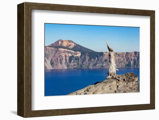 Lone tree trunk over Crater Lake, the deepest lake in the U.S.A., part of the Cascade Range, Oregon-Martin Child-Framed Photographic Print