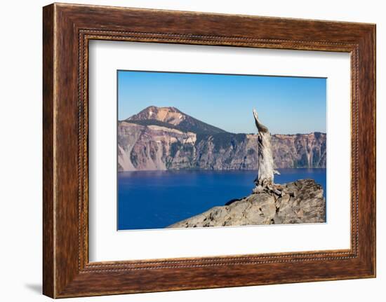 Lone tree trunk over Crater Lake, the deepest lake in the U.S.A., part of the Cascade Range, Oregon-Martin Child-Framed Photographic Print