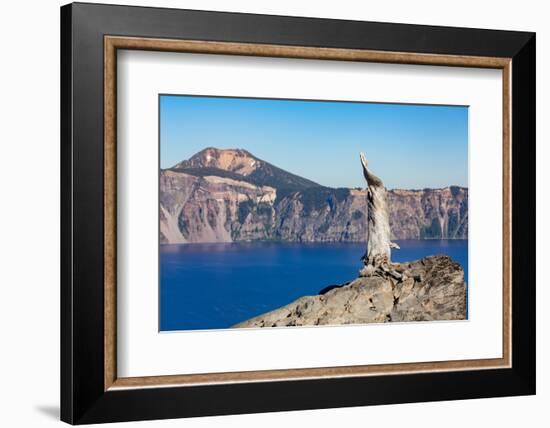 Lone tree trunk over Crater Lake, the deepest lake in the U.S.A., part of the Cascade Range, Oregon-Martin Child-Framed Photographic Print