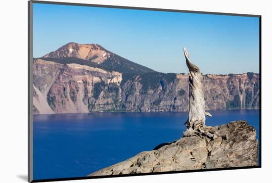 Lone tree trunk over Crater Lake, the deepest lake in the U.S.A., part of the Cascade Range, Oregon-Martin Child-Mounted Photographic Print