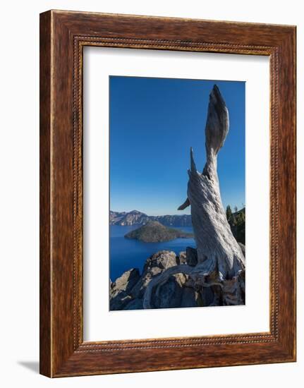 Lone tree trunk over Crater Lake, the deepest lake in the U.S.A., part of the Cascade Range, Oregon-Martin Child-Framed Photographic Print