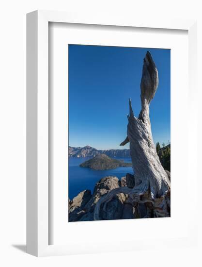 Lone tree trunk over Crater Lake, the deepest lake in the U.S.A., part of the Cascade Range, Oregon-Martin Child-Framed Photographic Print