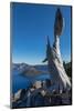 Lone tree trunk over Crater Lake, the deepest lake in the U.S.A., part of the Cascade Range, Oregon-Martin Child-Mounted Photographic Print