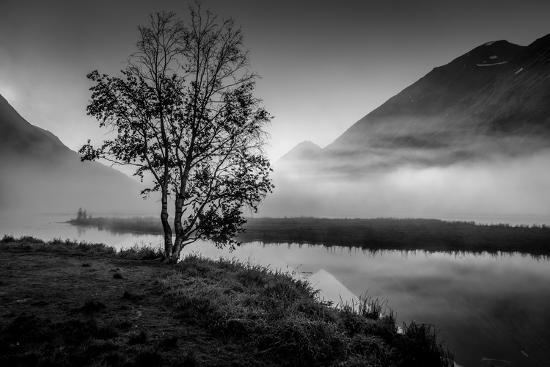 Photographic Print, , large