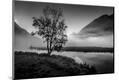 Photographic Print