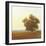 Lone Tree-Todd Telander-Framed Art Print