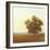 Lone Tree-Todd Telander-Framed Art Print