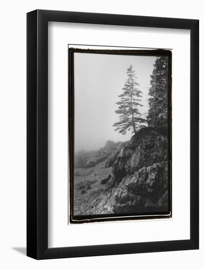 Lone Tree-Laura Denardo-Framed Photographic Print