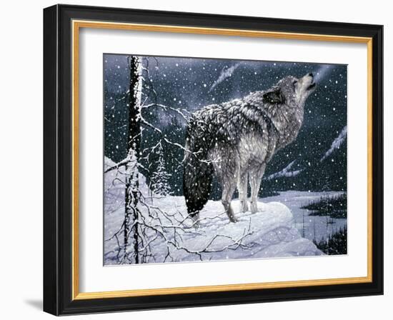 Lone Wolf-Jeff Tift-Framed Giclee Print