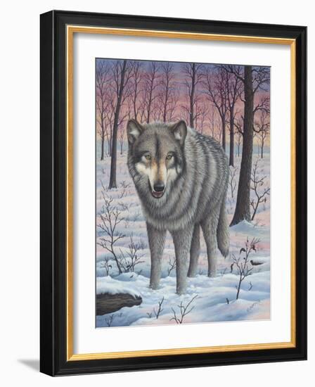 Lone Wolf-Robert Wavra-Framed Giclee Print