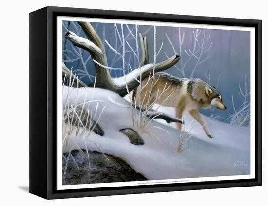Lone Wolf-Leo Stans-Framed Stretched Canvas