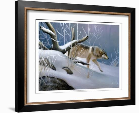 Lone Wolf-Leo Stans-Framed Art Print