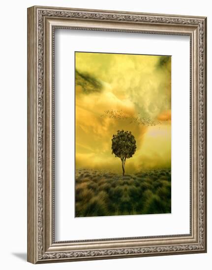 Loneliness Tree in Grass Field-null-Framed Art Print