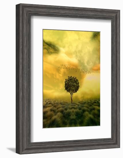 Loneliness Tree in Grass Field-null-Framed Art Print