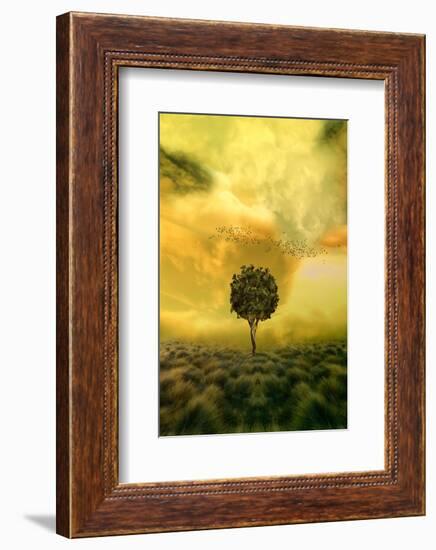 Loneliness Tree in Grass Field-null-Framed Art Print