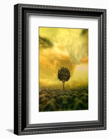 Loneliness Tree in Grass Field-null-Framed Art Print