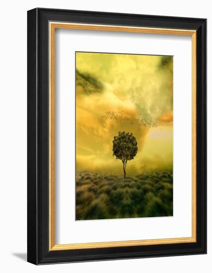 Loneliness Tree in Grass Field-null-Framed Art Print