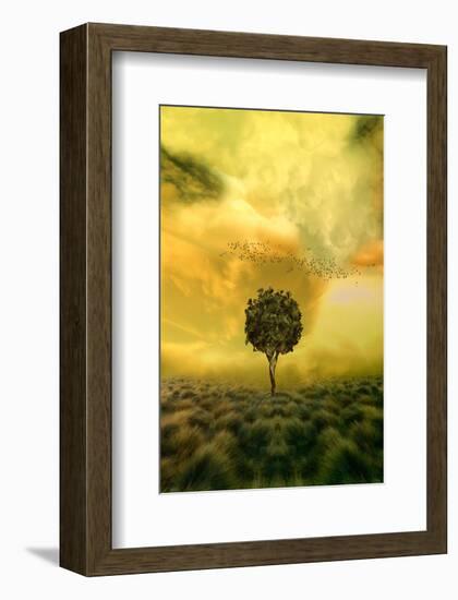 Loneliness Tree in Grass Field-null-Framed Art Print