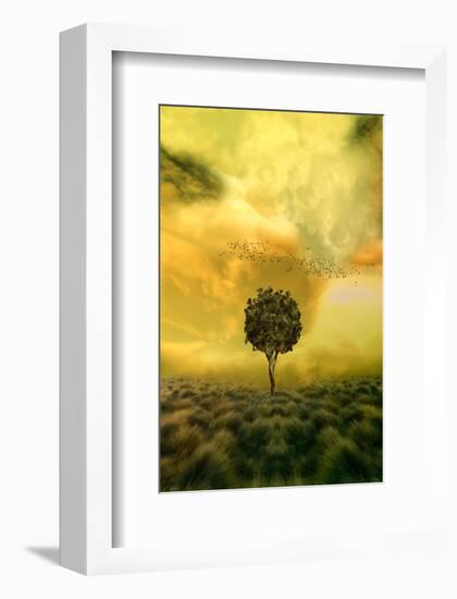 Loneliness Tree in Grass Field-null-Framed Art Print