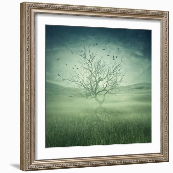 Lonely, Bare Tree in Middle of Foggy Field with Birds Flying Around-Bordeianu Andrei-Framed Photographic Print