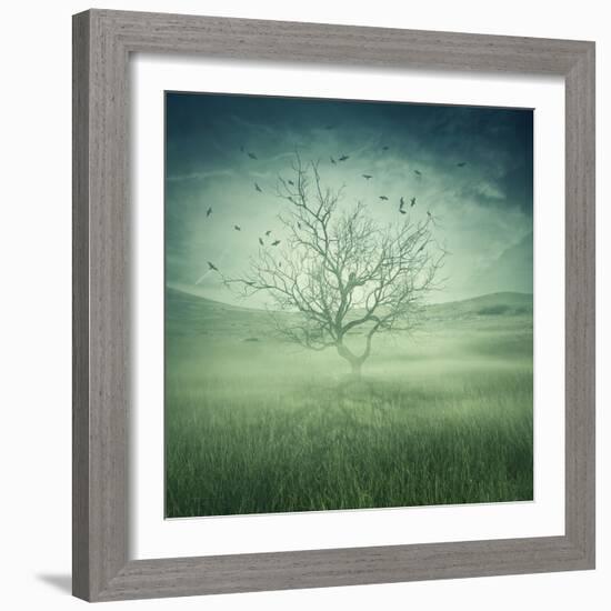 Lonely, Bare Tree in Middle of Foggy Field with Birds Flying Around-Bordeianu Andrei-Framed Photographic Print