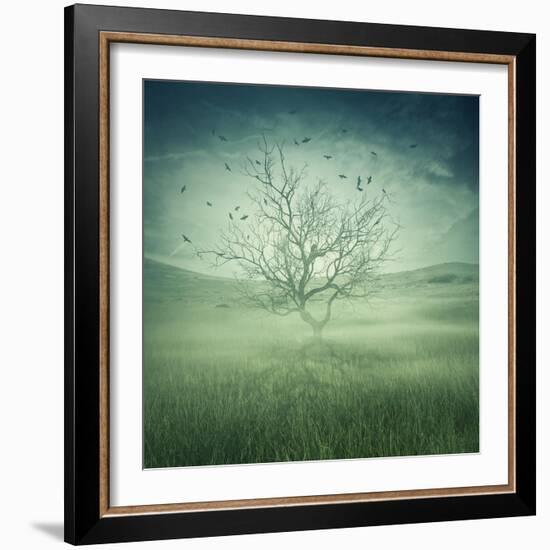 Lonely, Bare Tree in Middle of Foggy Field with Birds Flying Around-Bordeianu Andrei-Framed Photographic Print