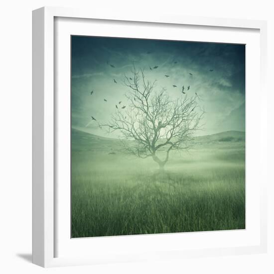 Lonely, Bare Tree in Middle of Foggy Field with Birds Flying Around-Bordeianu Andrei-Framed Photographic Print