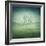 Lonely, Bare Tree in Middle of Foggy Field with Birds Flying Around-Bordeianu Andrei-Framed Photographic Print