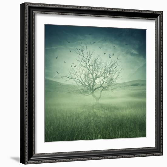 Lonely, Bare Tree in Middle of Foggy Field with Birds Flying Around-Bordeianu Andrei-Framed Photographic Print