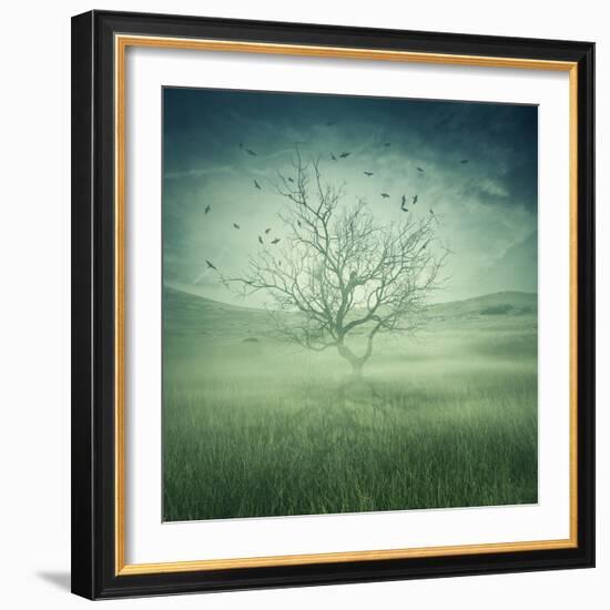 Lonely, Bare Tree in Middle of Foggy Field with Birds Flying Around-Bordeianu Andrei-Framed Photographic Print