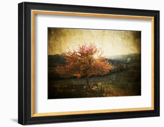 Lonely Beautiful Autumn Tree - Vintage Photo-melis-Framed Photographic Print