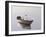 Lonely Boat 2017 2-Zhen-Huan Lu-Framed Giclee Print