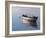 Lonely Boat 2017-Zhen-Huan Lu-Framed Giclee Print