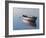 Lonely Boat 2017-Zhen-Huan Lu-Framed Giclee Print