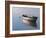 Lonely Boat 2017-Zhen-Huan Lu-Framed Giclee Print