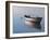 Lonely Boat 2017-Zhen-Huan Lu-Framed Giclee Print