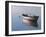 Lonely Boat 2017-Zhen-Huan Lu-Framed Giclee Print