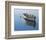 Lonely Boat-Zhen-Huan Lu-Framed Art Print