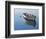 Lonely Boat-Zhen-Huan Lu-Framed Art Print