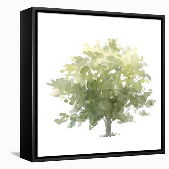 Lonely Oak I-Emma Scarvey-Framed Stretched Canvas