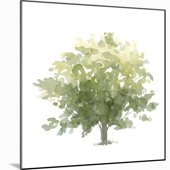 Lonely Oak I-Emma Scarvey-Mounted Art Print